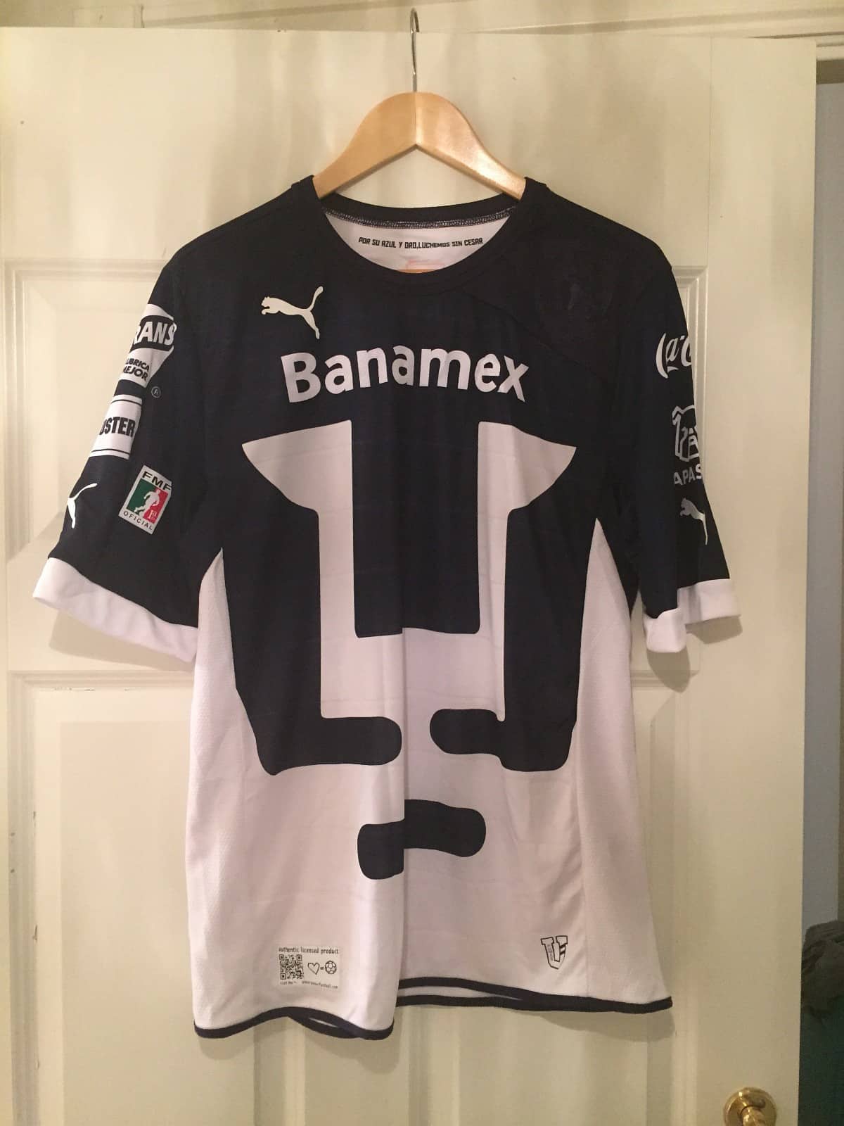 Pumas